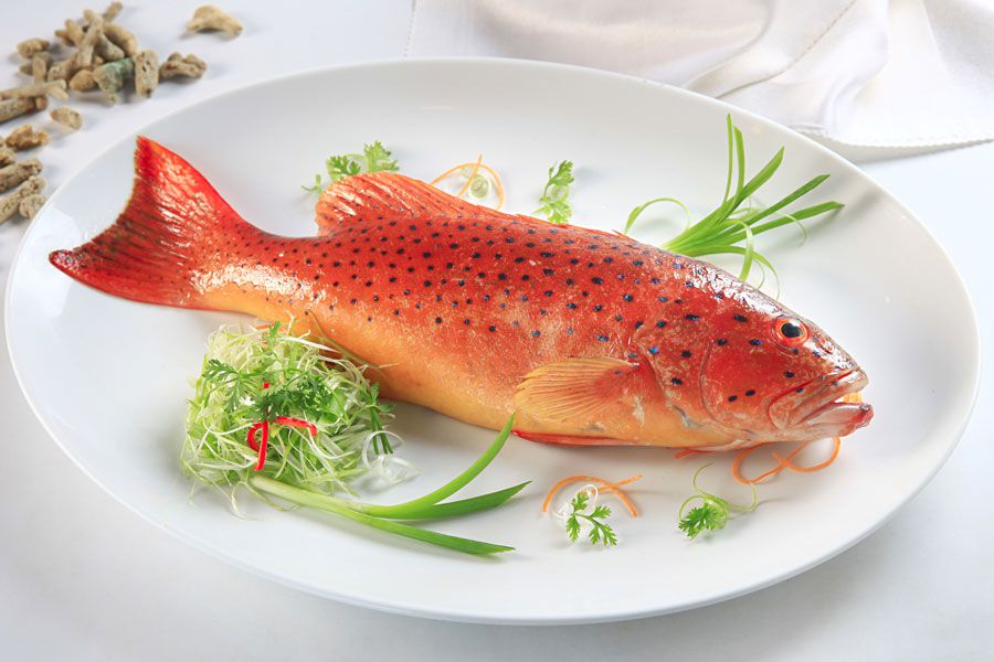Cá Mú Đỏ là món ăn đặc sản chỉ có tại Côn Đảo