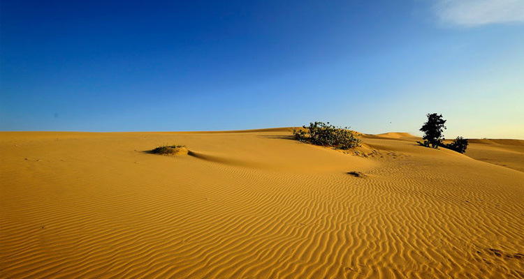 Thời điểm thích hợp để đến đồi cát là tháng 4 hằng năm
