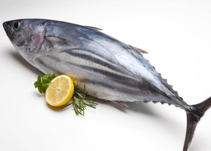 Trẻ em ăn cá ngừ có tốt không? Những lợi ích sức khỏe khi ăn cá ngừ